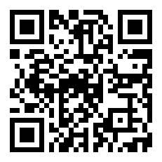 风水招财镇宅铜狮——铜先生故宫狮（对)
