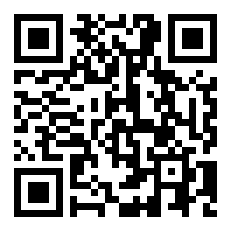 招财镇宅风水摆件——如意小象（对）