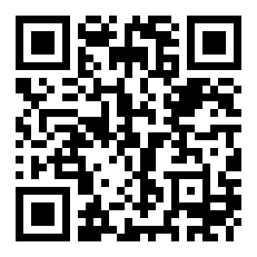 纯铜风水摆件——旺财貔貅